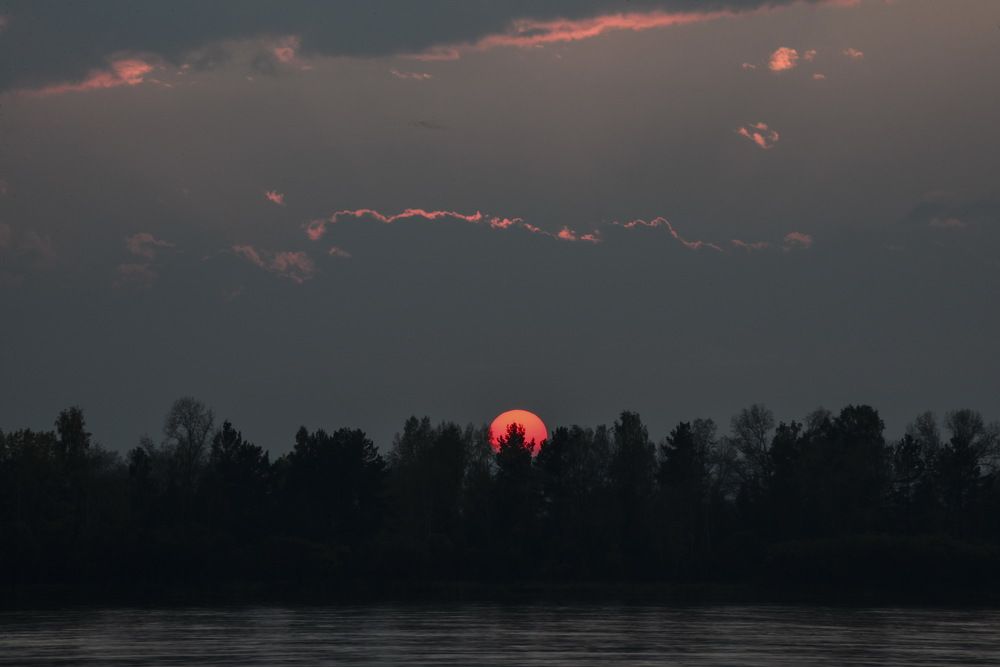 запахи лета