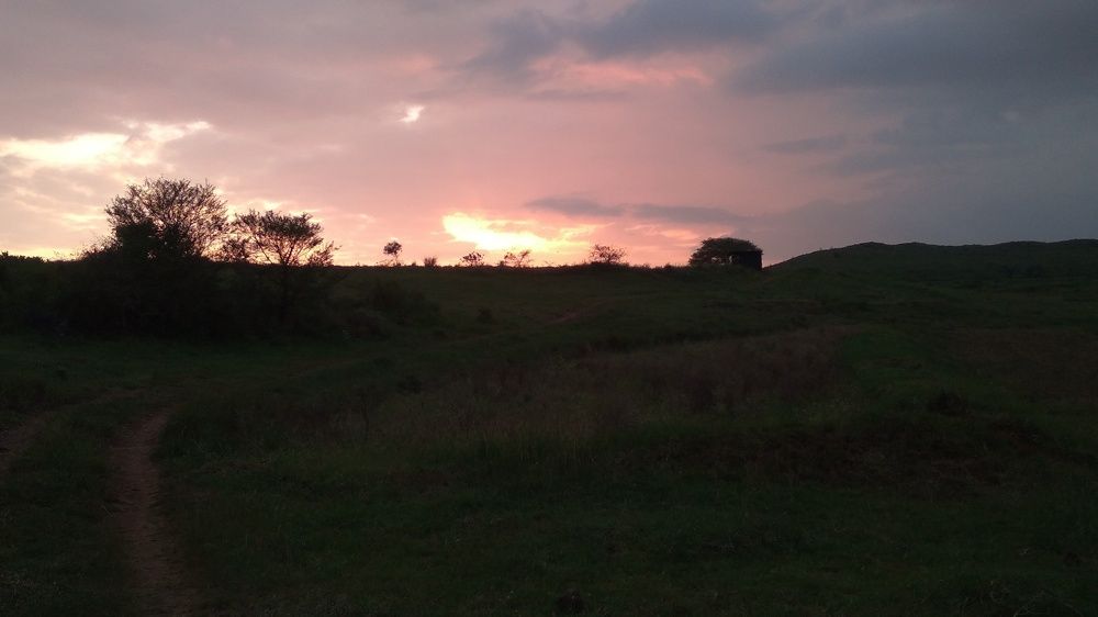 Photo #7383945