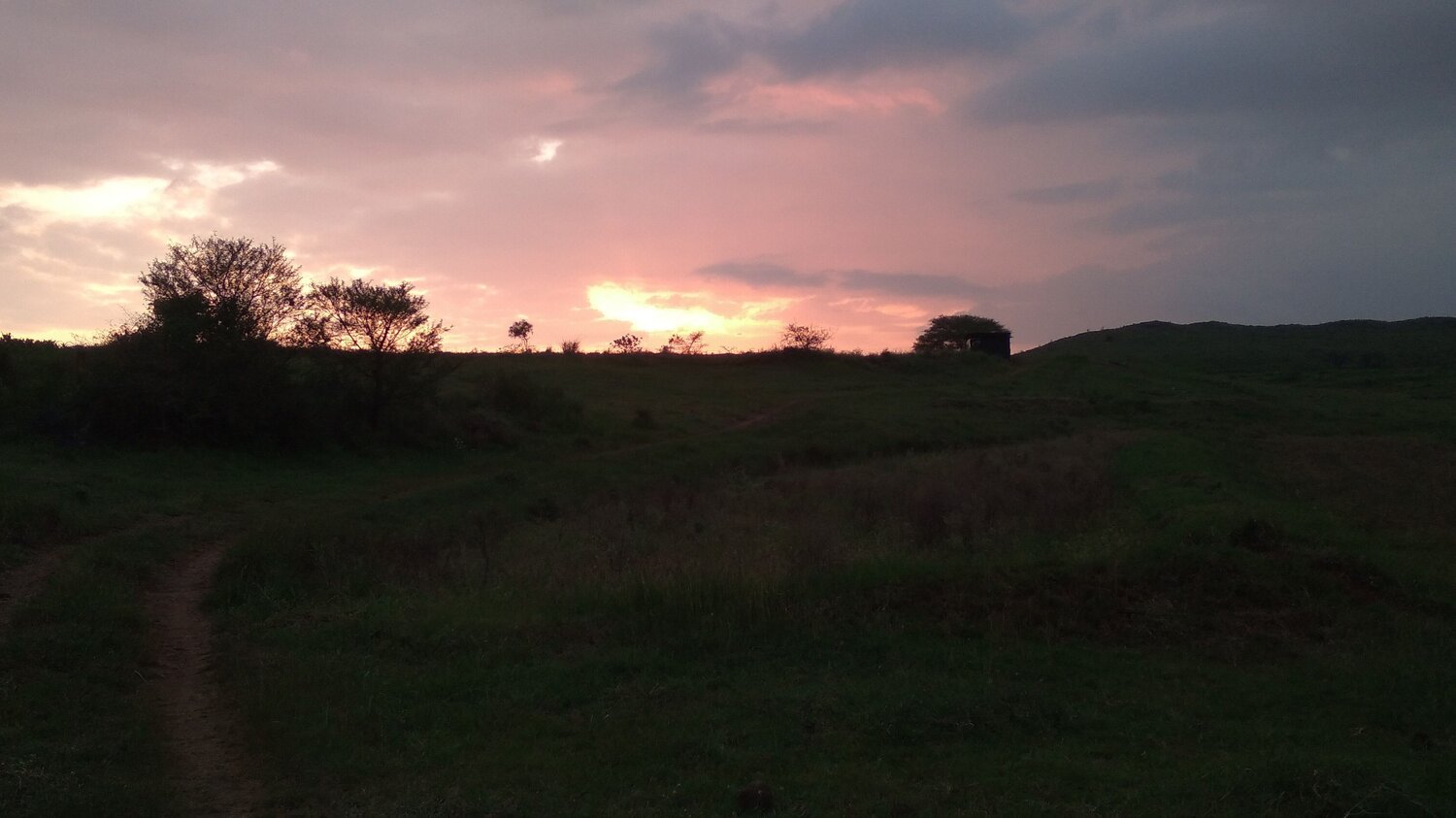 Photo #7383945