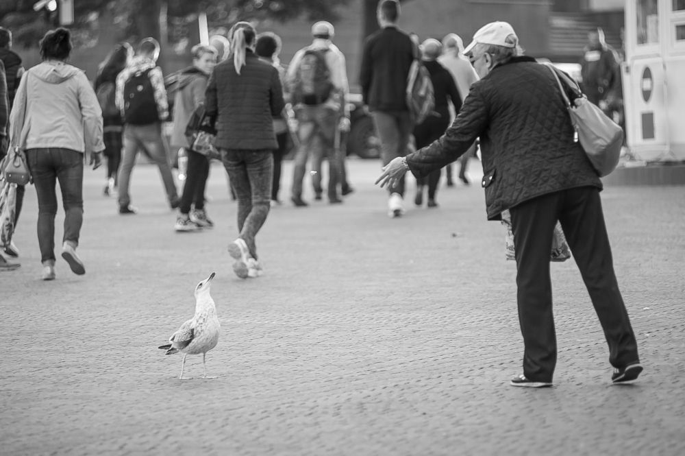 Photograph by Владимир Гавриленко