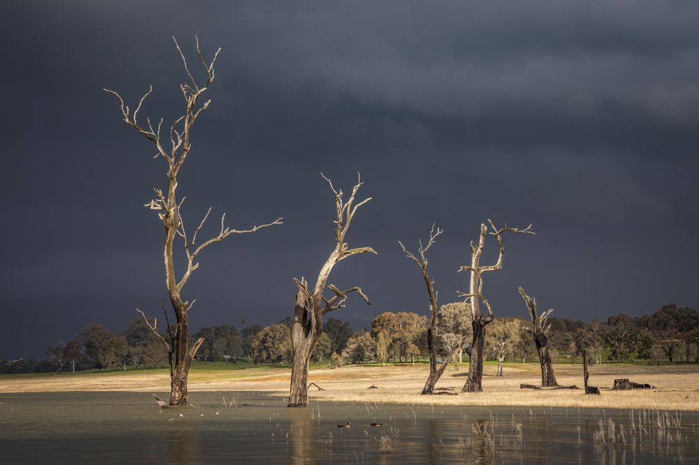 Photograph by David Cottee