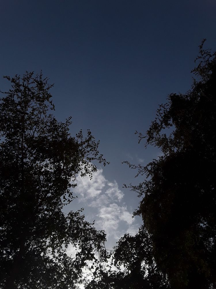 Photograph by Shereen Atef