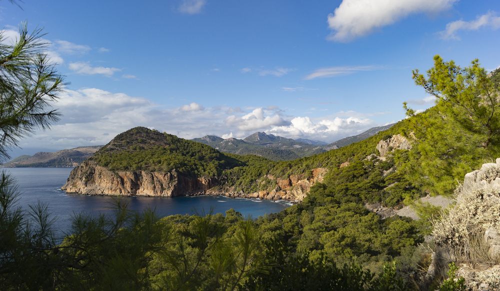 Photograph by Александр