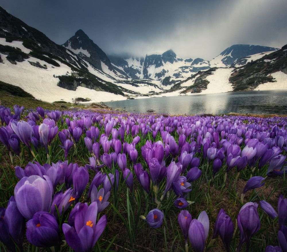 Photograph by Красимир Матаров