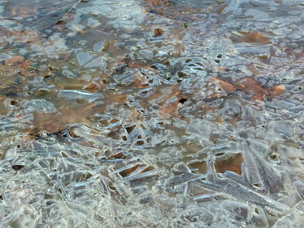 Кружевной лед на лужах...