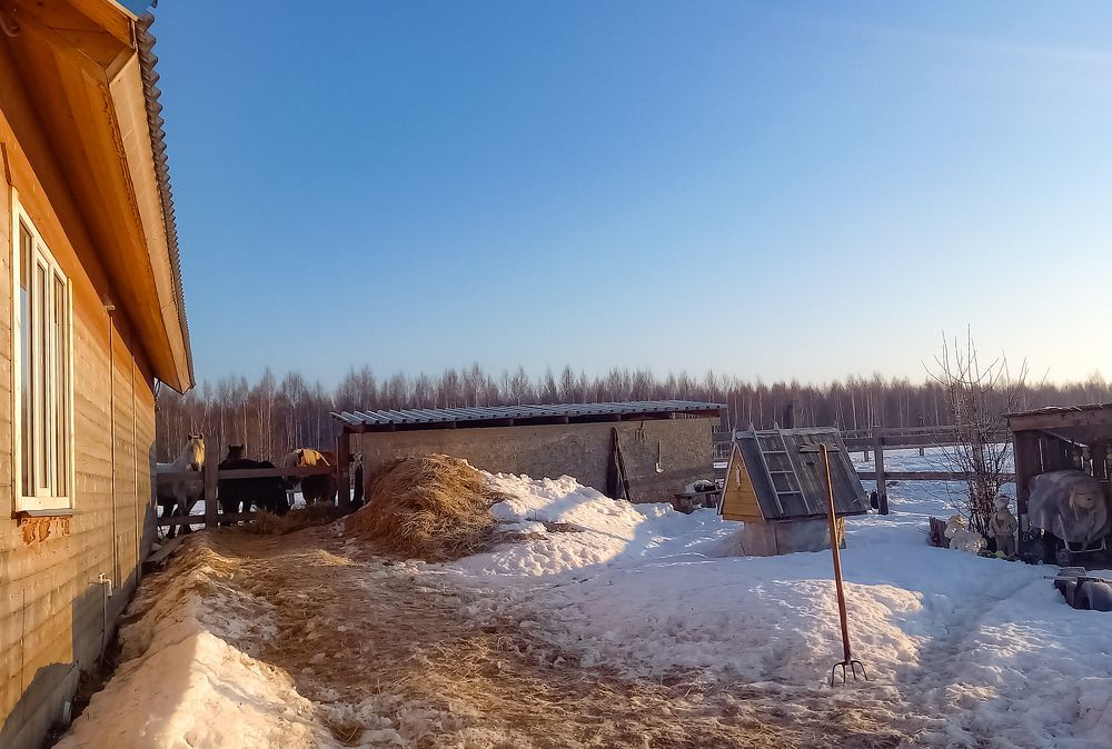 Photograph by Литвиненко Светлана