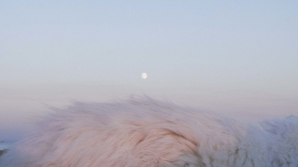 Photograph by Виктория