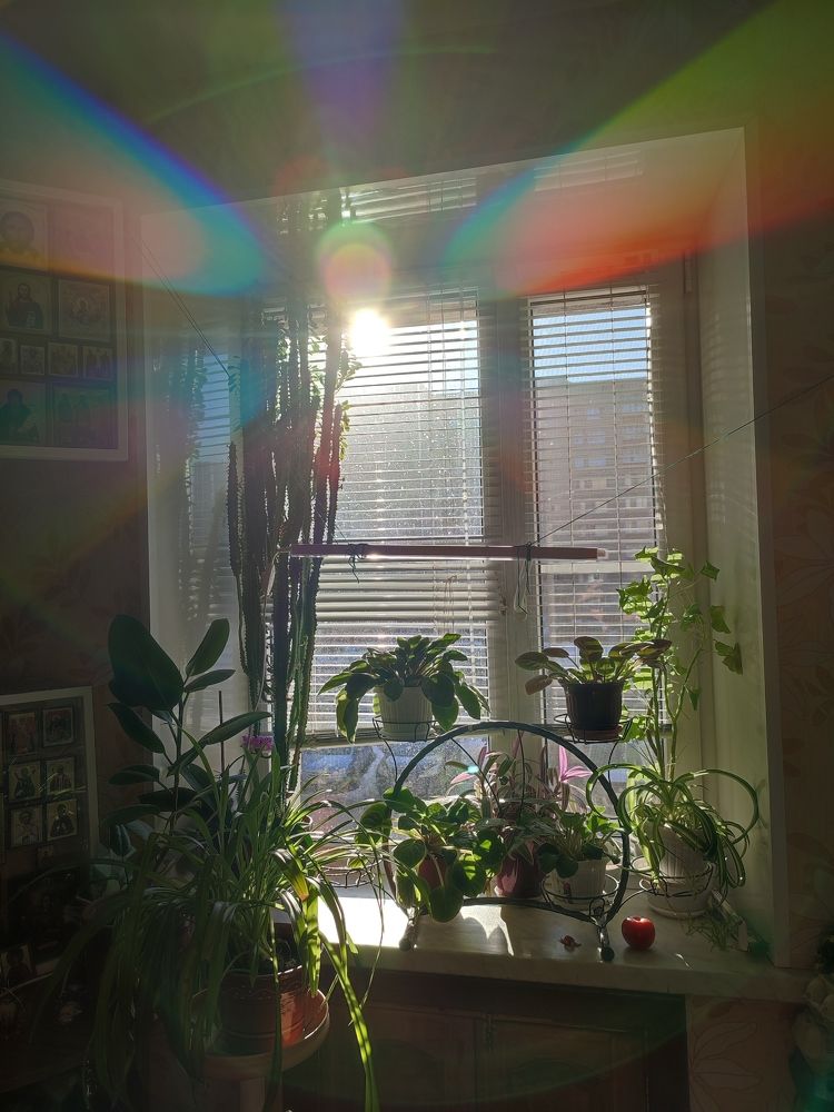 25 февраля 2022 года