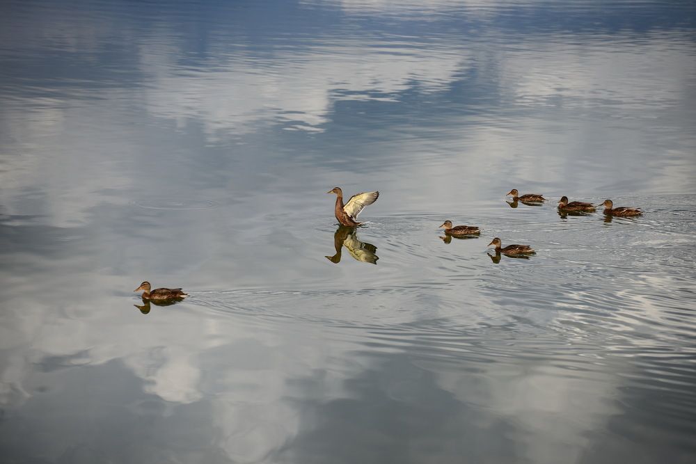 Photograph by Сергей Богородский
