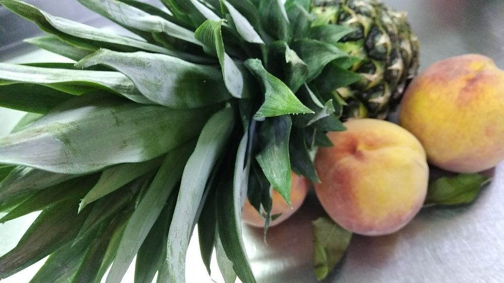 Photograph by Bojan Nikolovski