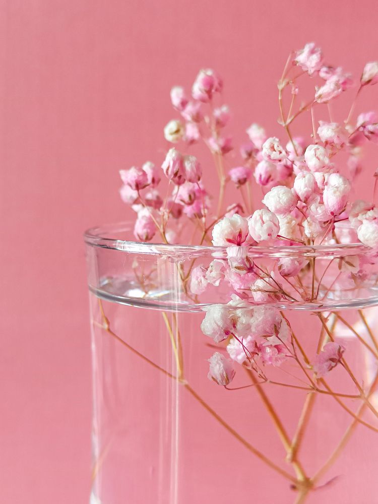 Photograph by Кристина Кораблина