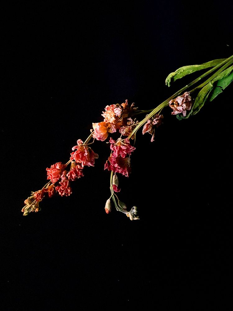 Photograph by Татьяна Яркович