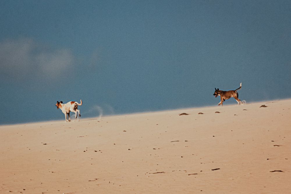 Photograph by Jonathan Dourado