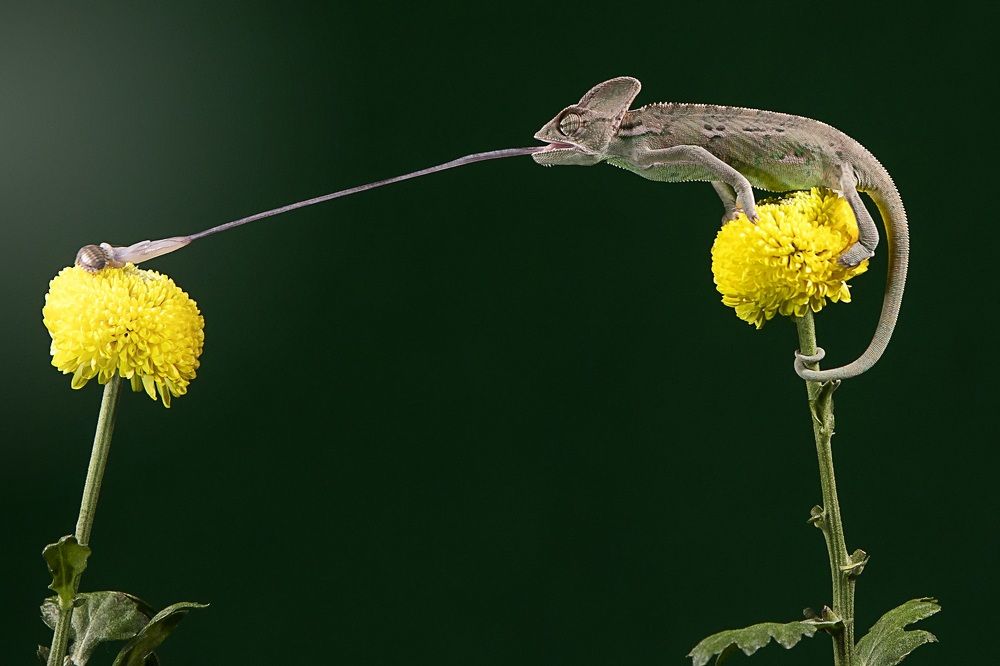 Photograph by Dikye Ariani