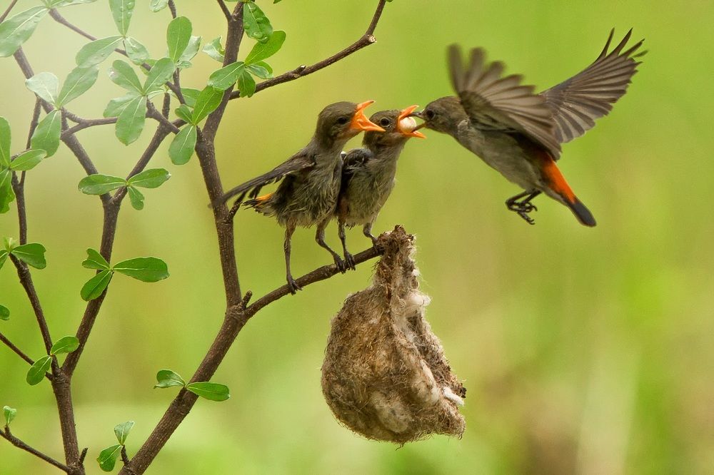 Photograph by Dikye Ariani