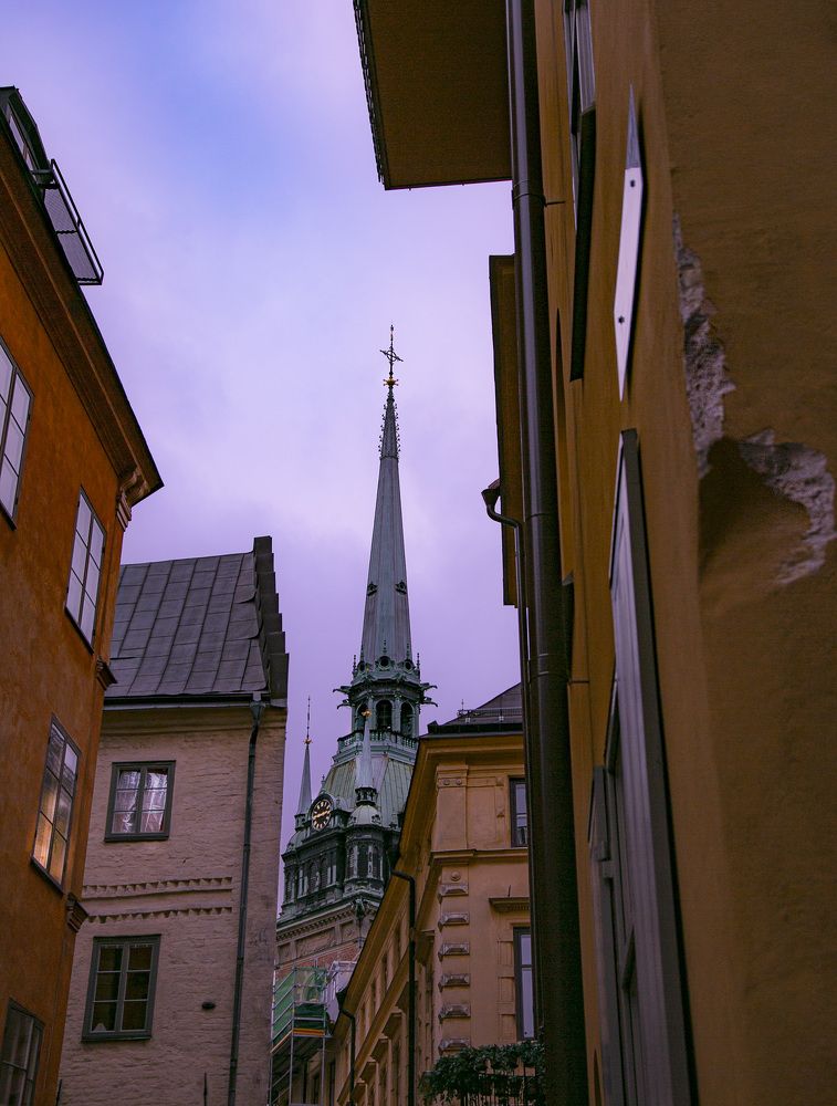 Photograph by Liudmila Drake