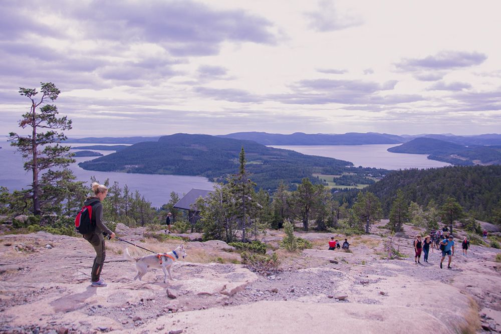Высокое побережье (Höga Kusten, Sweden)