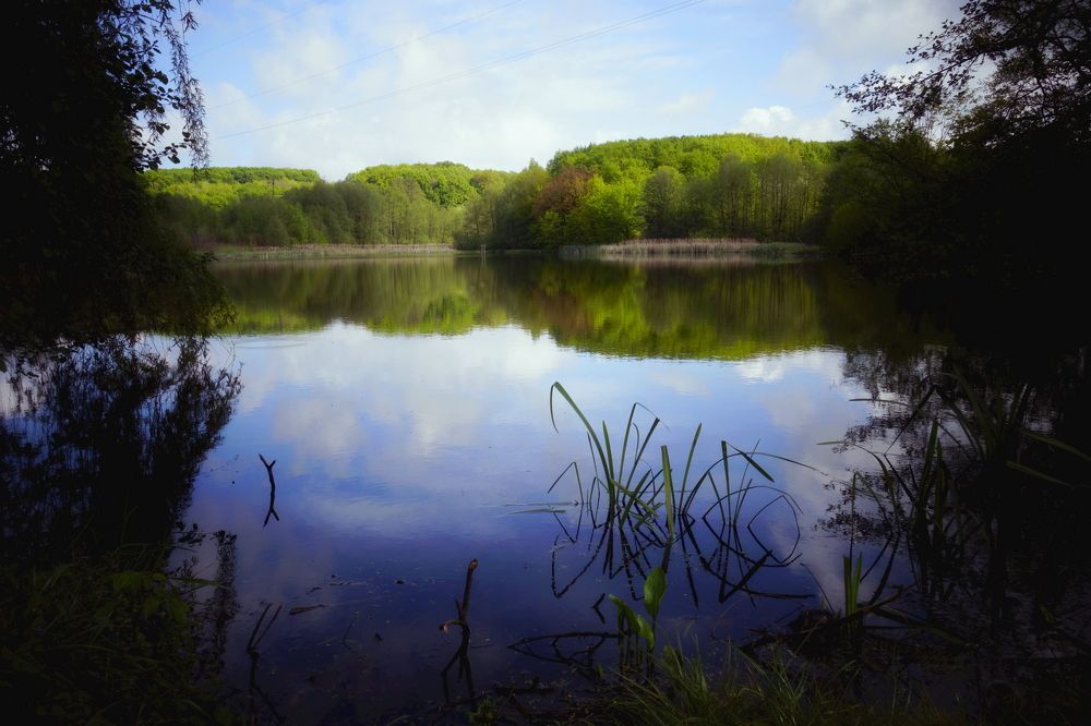 Фотография автора Віталій