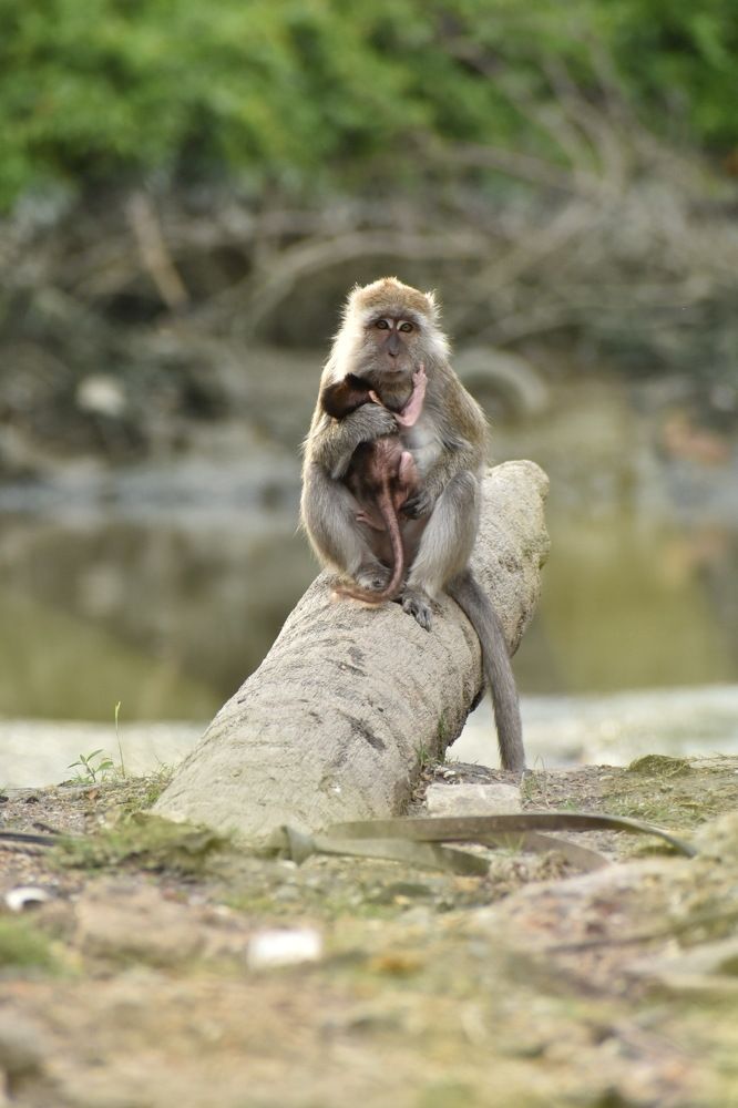 Photograph by Kazzandraa Peeter