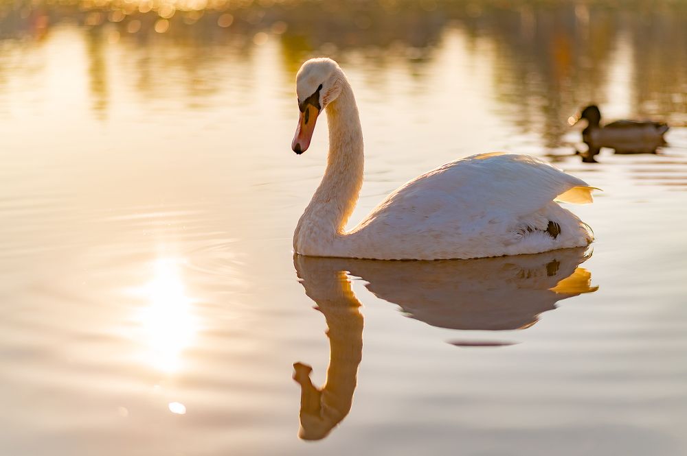 Photograph by Svetlana Soboleva