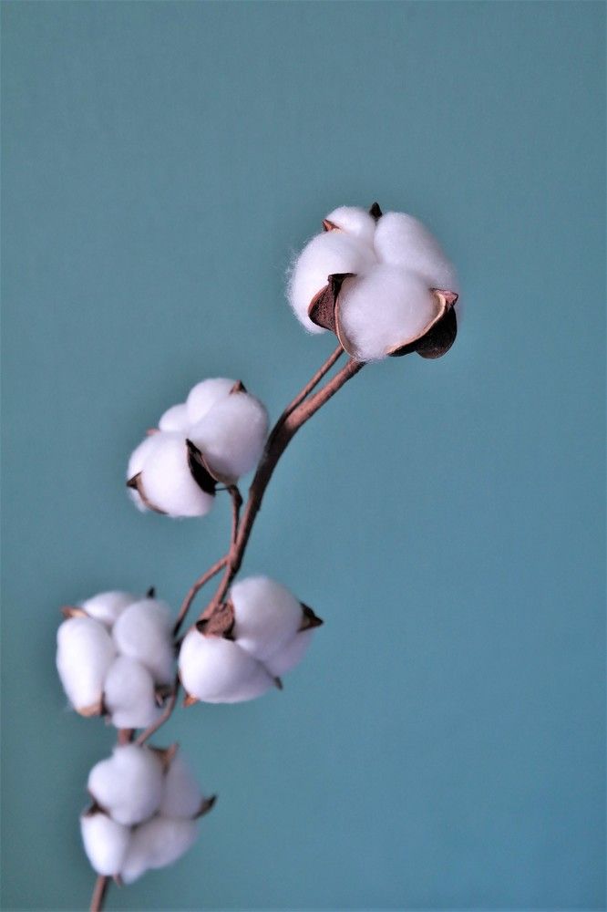 Photograph by Ольга Сергиенко