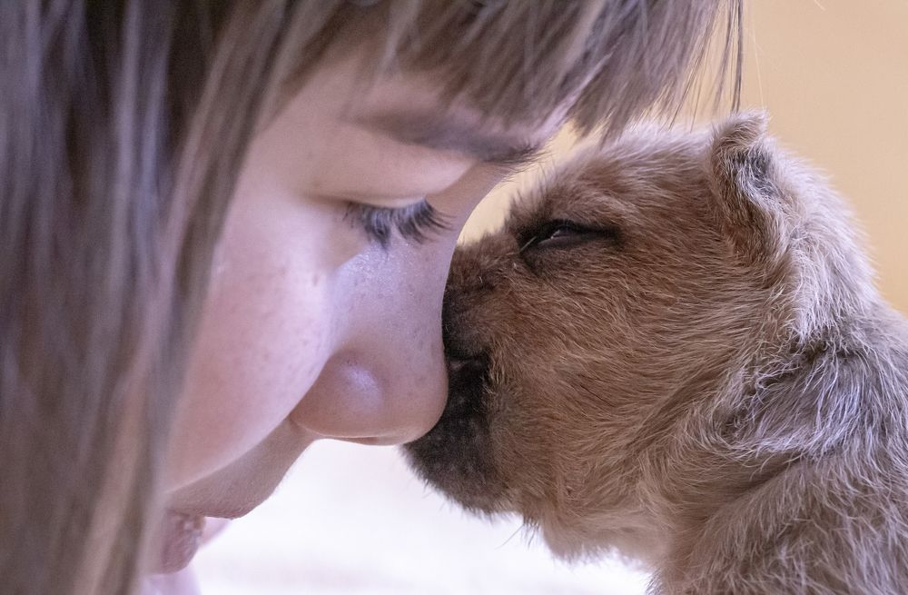 Сейчас я тебе всё расскажу...