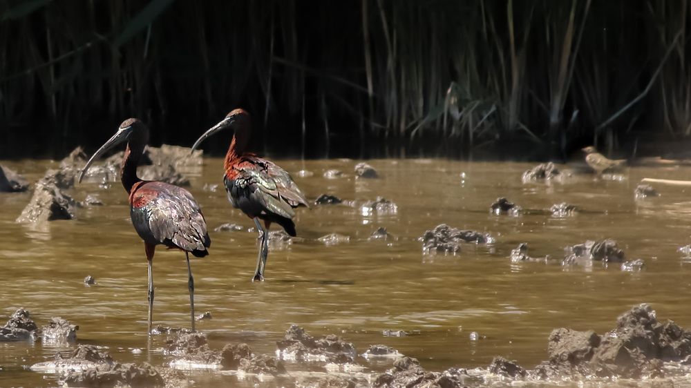 Photograph by Анжелика Рейн