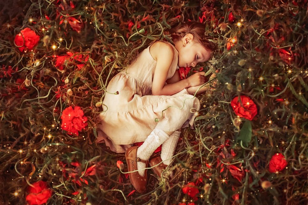 Photograph by Татьяна Новик-Залеская