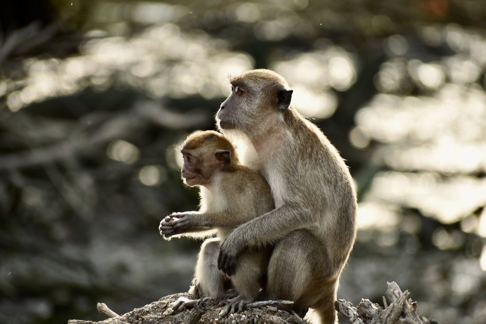 Photograph by Kazzandraa Peeter