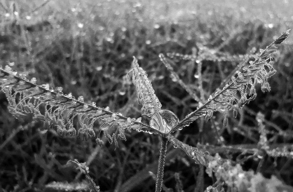 Photograph by Gleyda Gutierrez