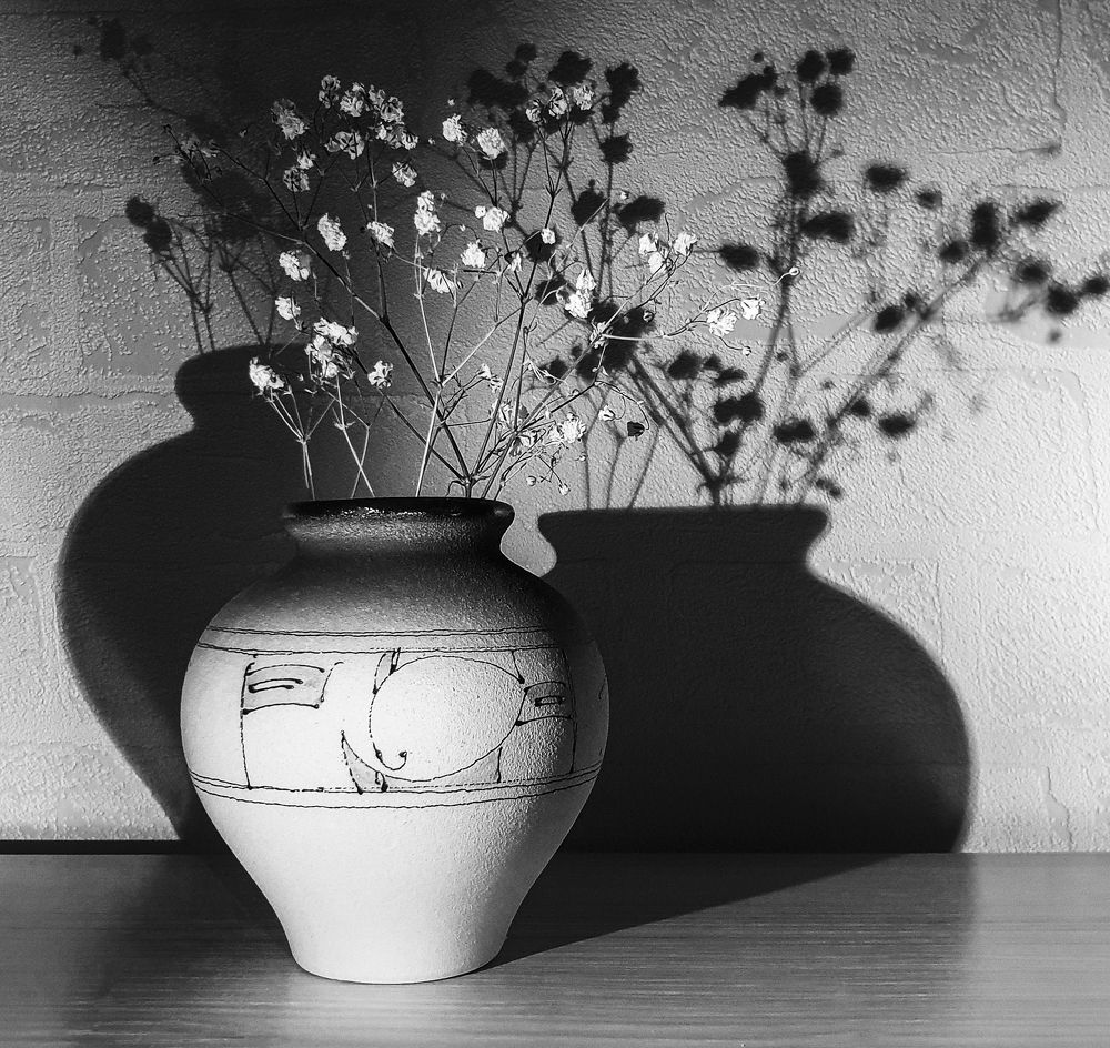 Photograph by Svetlana Zelyanina