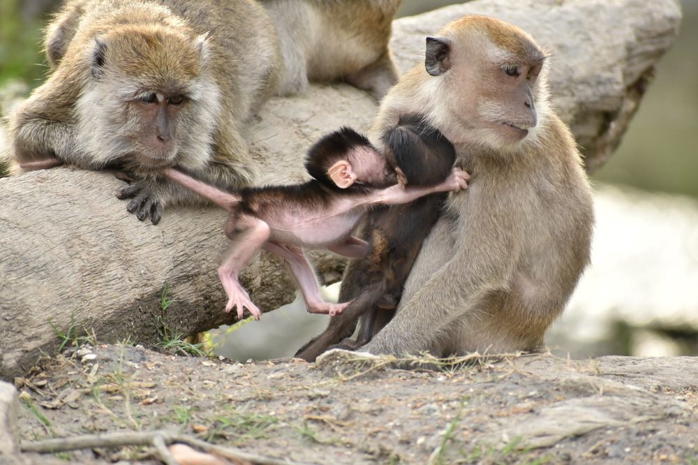 Photograph by Kazzandraa Peeter