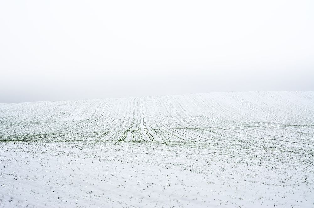 Фотография автора Роман Володащик