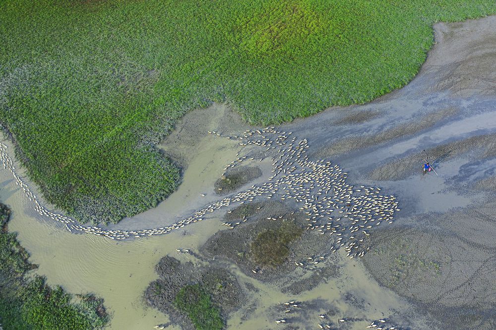 Photograph by nguyen phuc doan