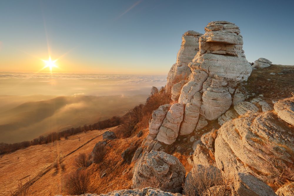 Photograph by Анастасия Калинцева