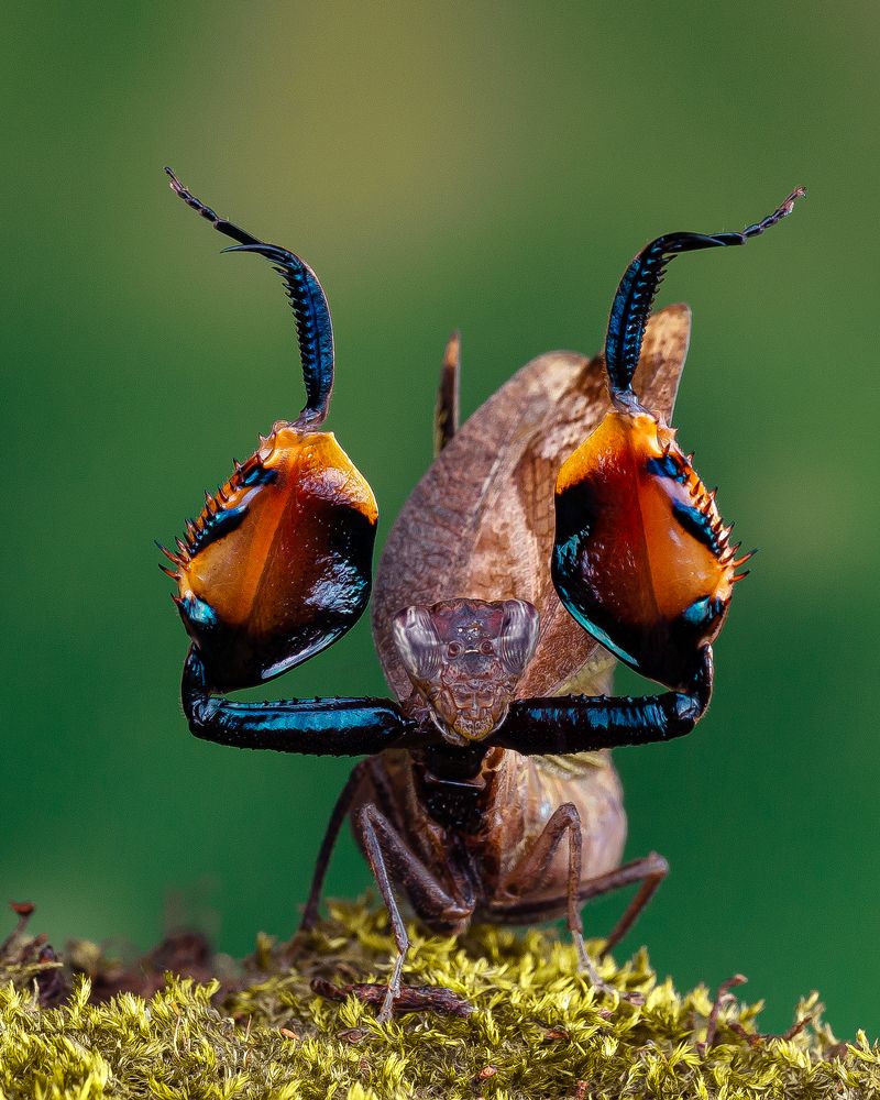 Photograph by Marcus Kam