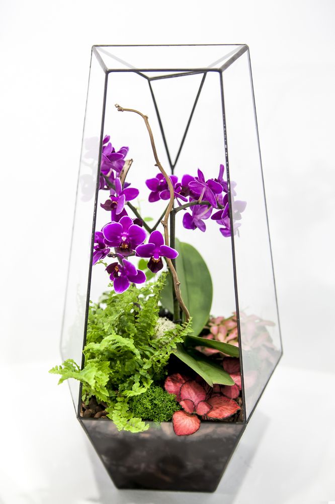 Пластмассовый мир победил