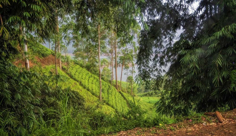 Photograph by Irina Grigoryeva