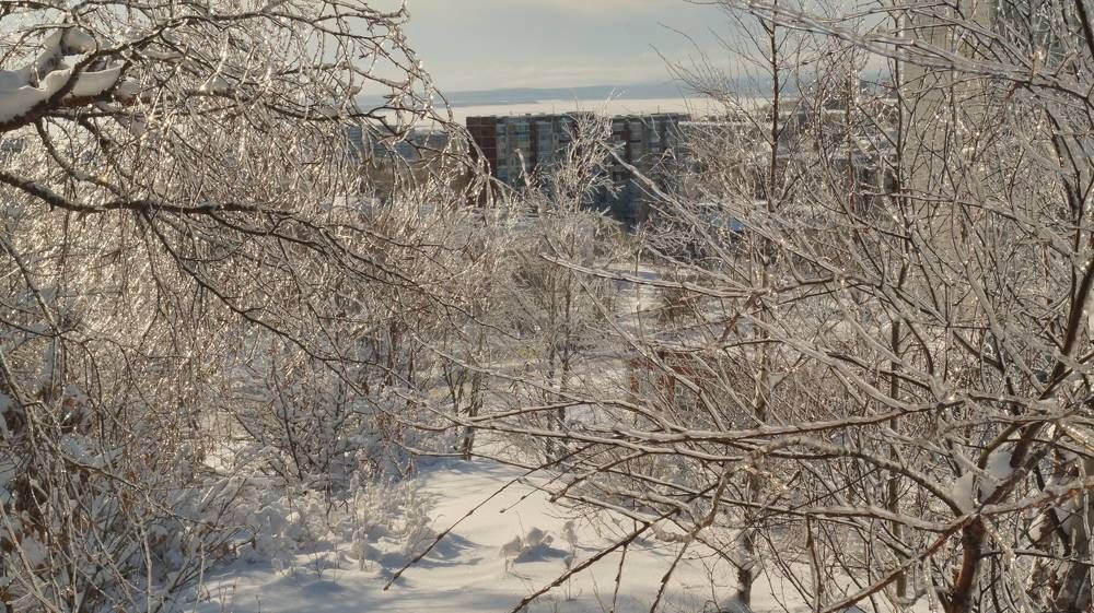 Photograph by Иван Кирилков