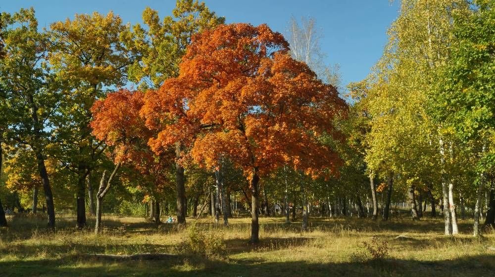 Photograph by Иван Кирилков