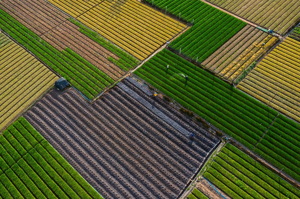 Photograph by nguyen phuc doan