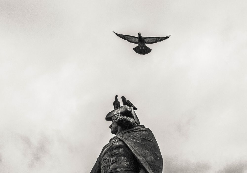 Photograph by Татьяна Титова