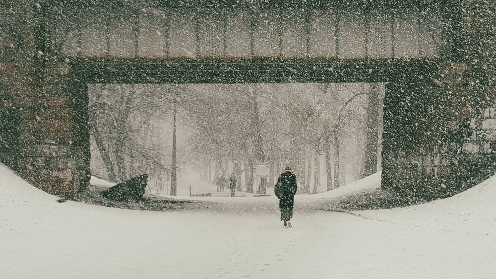 Photograph by Svetlana Zelyanina