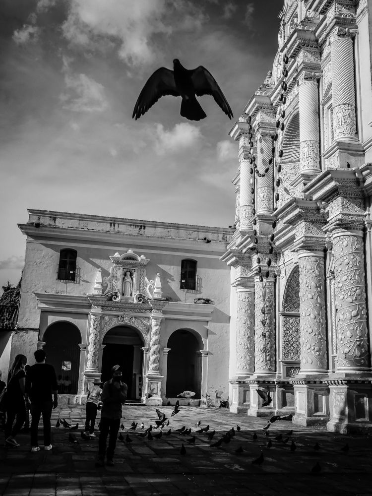 Photograph by Sven Delaye