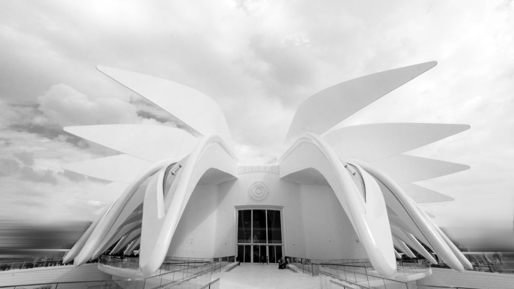 Photograph by Marwa Elchazly