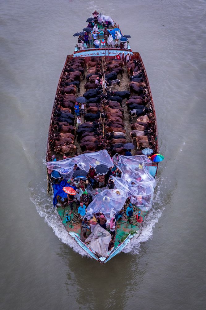 Photograph by Protap Shekhor Mohanto