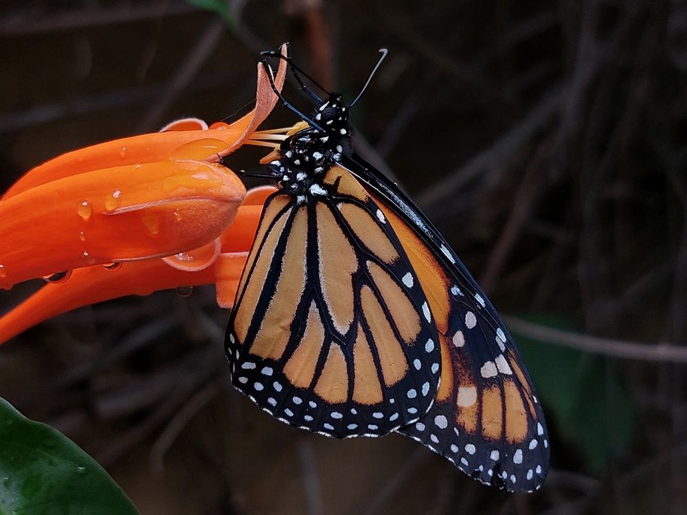 Photograph by Virginia Azocar Contreras