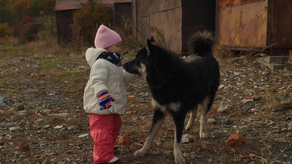 Photograph by Иван Кирилков