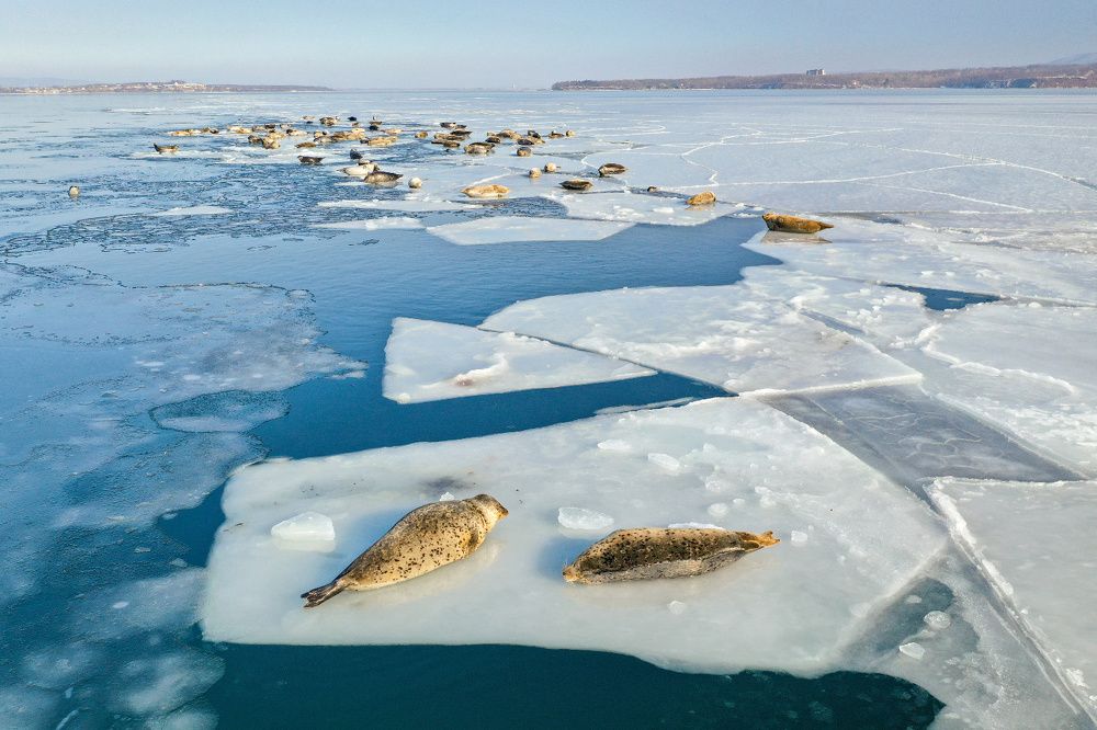 Photograph by Виктор О.