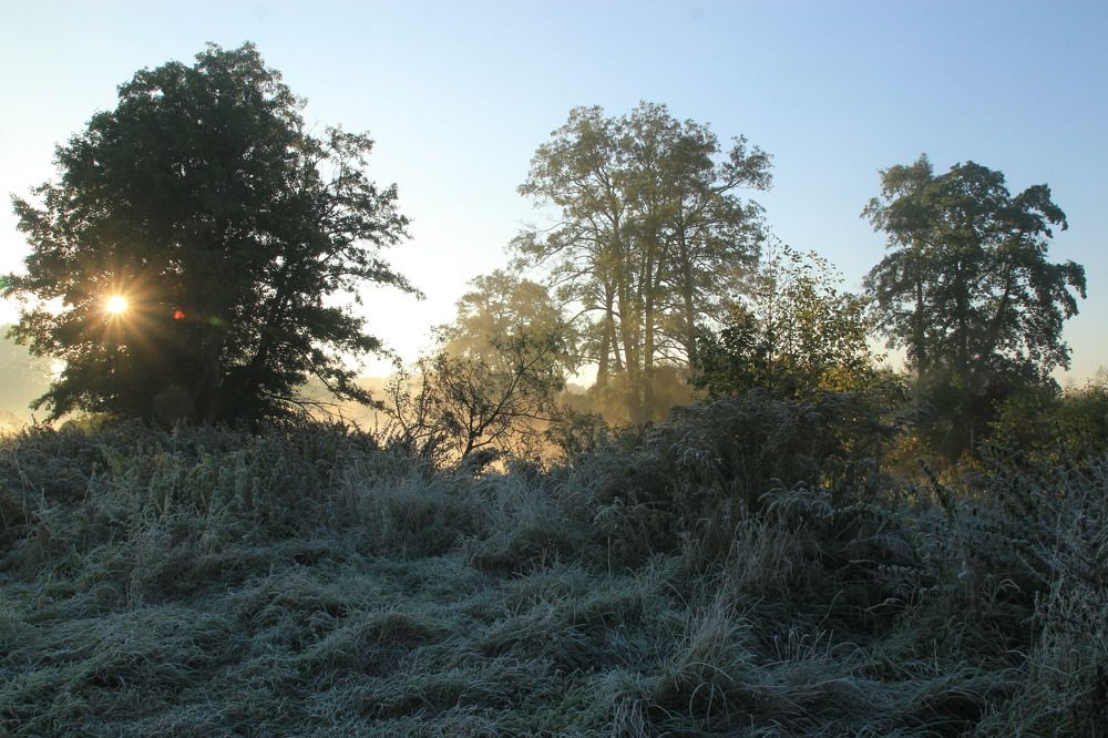 Photograph by Barbara